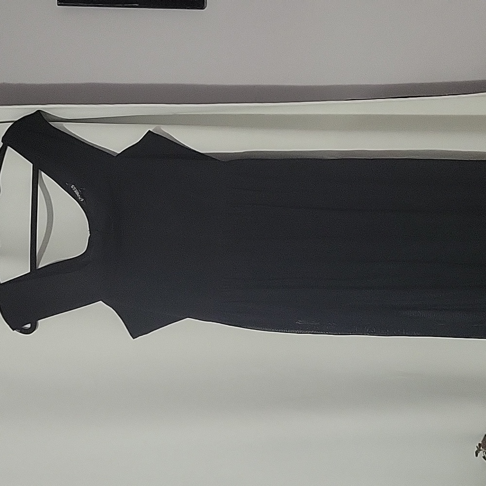 Express mesh dress